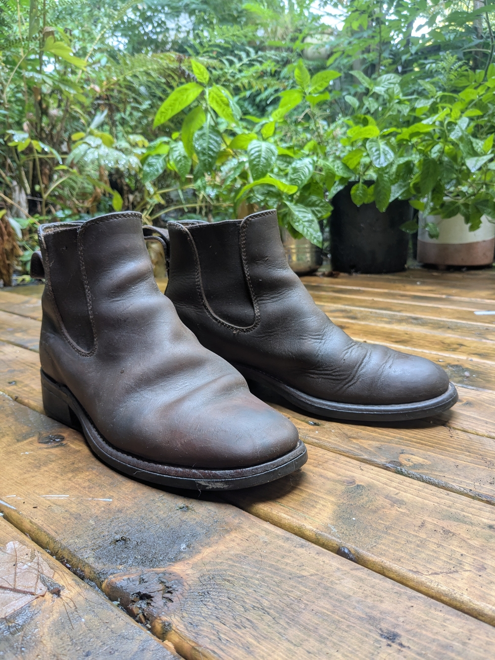 Brown Leather Chelsea Boots